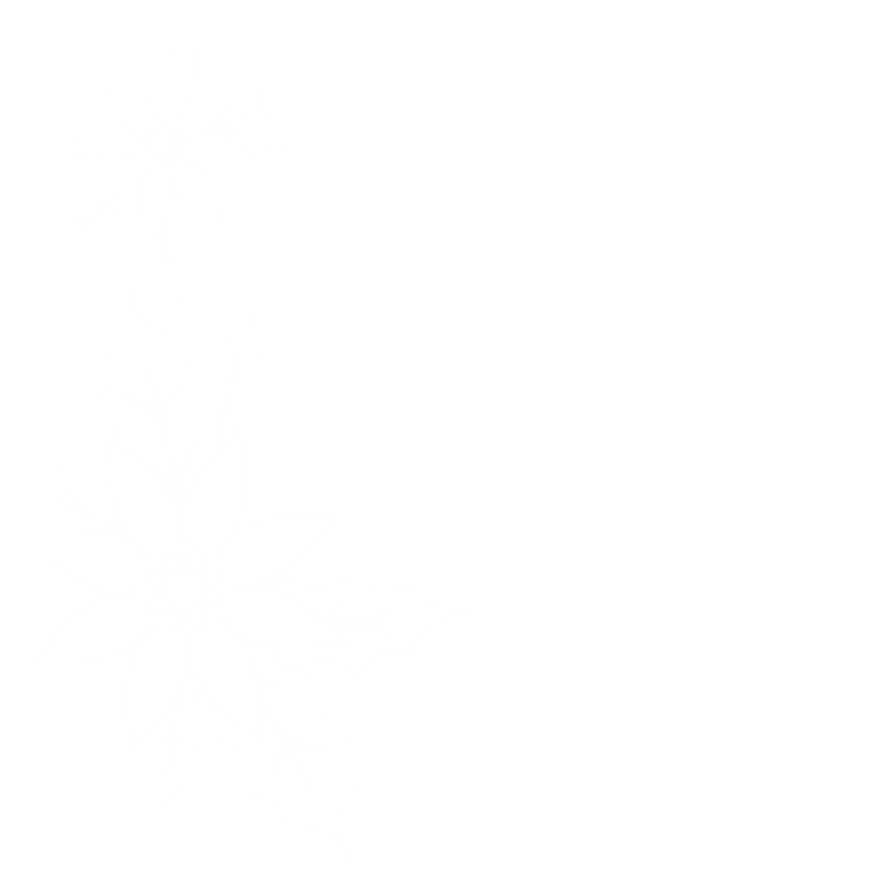 Christmas decoration bottom left